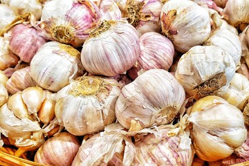 Vegetables concept:  Pile of Garlics