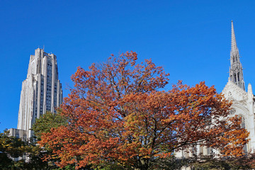 University of Pittsburgh campus with fall colors, Cathedral of Learning and chapel