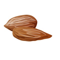 Delicious almonds icon. Cartoon of delicious almonds vector icon for web design isolated on white background
