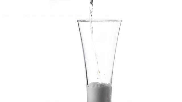 Pouring yellow beer on white background. Barm, bubble fresh drinking, foamy golden alcohol.