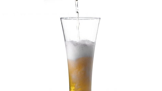 Pouring yellow beer on white background. Barm, bubble fresh drinking, foamy golden alcohol.