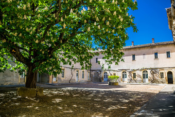 Fototapeta na wymiar Chartreuse de Valbonne, Gard, Occitanie, France.