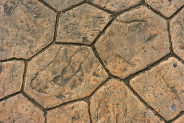 the floor or tortoiseshell