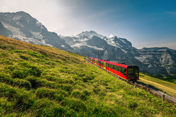 Electric tourist train and snowy Jungfrau mountains in background, Switzerland