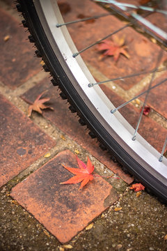 自転車と落ち葉　秋イメージ