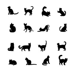 Isolated cats on the white background. Cats silhouettes. Vector EPS 10.