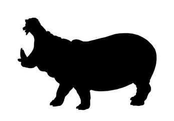 Plakat Graphical hippo silhouettes isolated on white background, vector illustration