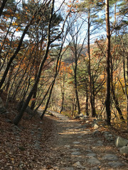 Obraz premium 설악산 