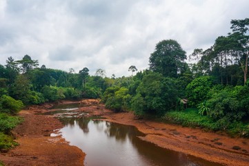Dried river in middle of the jungle 