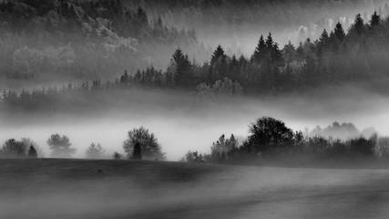 Fall landscape in Polana region, Slovakia. Black and white country view at sunrise. Silhouette of autumn trees.