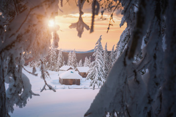 Fototapety na wymiar - Fototapeta24.pl