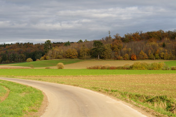 Fototapeta na wymiar autumn landscape with curved single lane road