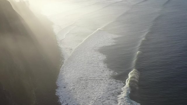 Aerial 4K sunny morning along rocky coast with fog above trees. Drone shot tilting up and moving forward.