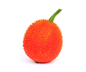 Closeup Gac fruit ( known as Spring Bitter Cucumber, baby jackfruit, sweet grourd, Spiny bitter gourd ,Momordica cochinchinensis ) isolated on white background. Tropical healthy medicine plant concept