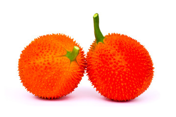 Closeup Gac fruit ( known as Spring Bitter Cucumber, baby jackfruit, sweet grourd, Spiny bitter gourd ,Momordica cochinchinensis ) isolated on white background. Tropical healthy medicine plant concept