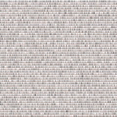 Colorful Number 'pi' Data Visualisation Art Computational Generative illustration