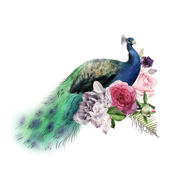 Flowers with peacock, watercolor, can be used as greeting card, invitation card for wedding, birthday and other holiday and  summer background.