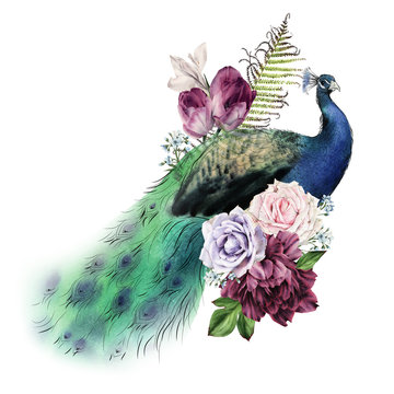Flowers with peacock, watercolor, can be used as greeting card, invitation card for wedding, birthday and other holiday and  summer background.