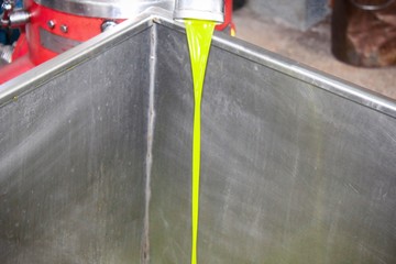 Extra virgin olive oil extraction process in olive oil mill in Greece.