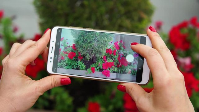 A woman is taking pictures of bushes with flowers on her smartphone. Social network blogger concept photo. Healthy and tasty food.