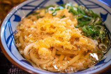日本のうどん