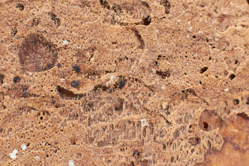 Texture of natural stone photo in close-up (macro), processed slice.