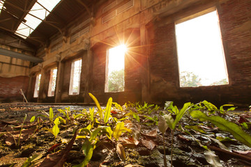 Abandoned interior of ancient fort.