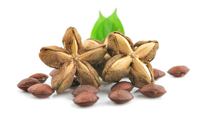 Nuts Incas , sacha inchi peanut seed an isolated on white background