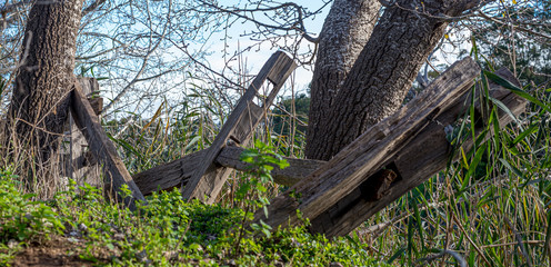 Old wood fence in forest