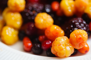 different kinds of berries