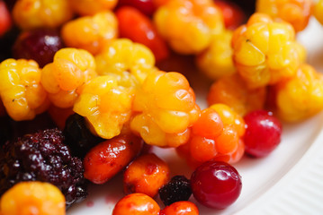 different kinds of berries