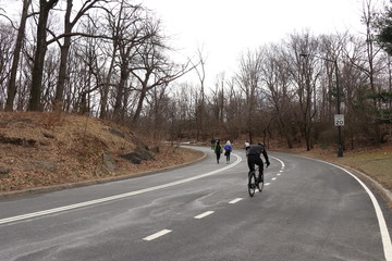 Naklejka premium central park New York