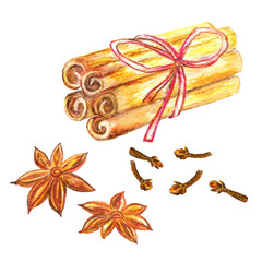 Set of spices for mulled wine, Christmas set. Watercolor handmade drawing illustration isolated on white background.
