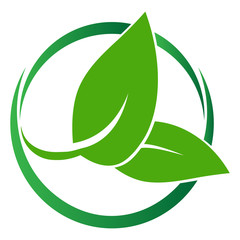 Leaf green logos vector