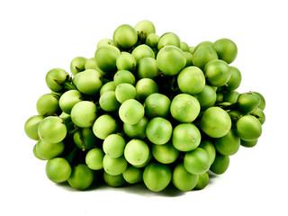 Solanum torvum,turkey berry,Pea Eggplant isolated on a white background,element of thai food concept
