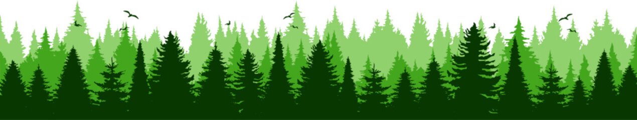 Conifer Tree Forest Landscape Vector Silhouette