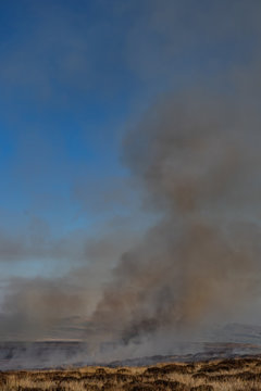 Heather Burning In Northumberland UK