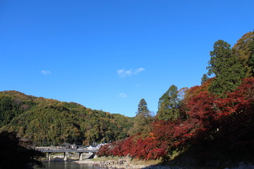 Fototapeta na wymiar 日本の愛知県の香嵐渓の紅葉の風景