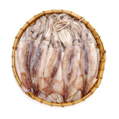 freshly squid on white background 