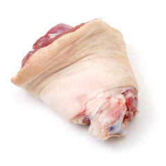 raw pork (leg) isolated on white background