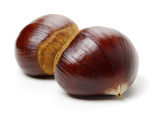 Sweet chestnut on white background