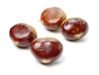 Sweet chestnut on white background