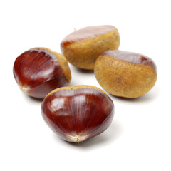 Sweet chestnut on white background