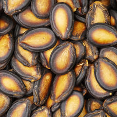 Watermelon seeds background