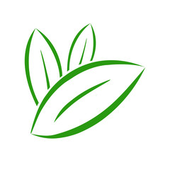 LEAF 47-58