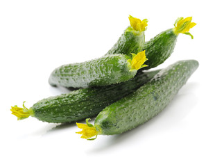 Green cucumber on the white background 