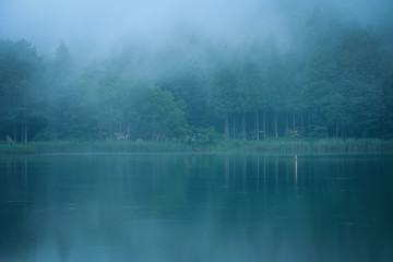 霧の湖畔キャンプ場