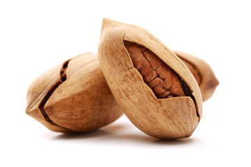Pecan nuts on white background