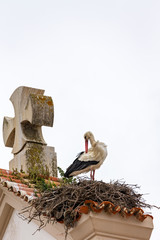 Nest of a White Stork (Ciconia ciconia) on a church roof in the old town in Olhao, Algarve, Portugal.