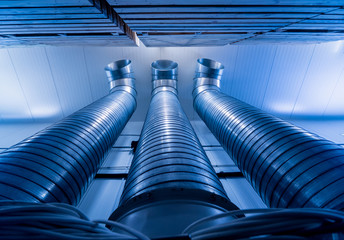 Empty industrial freezer warehouse for vegetable storage.